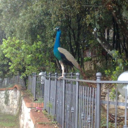 B&B Spring Perugia Zewnętrze zdjęcie