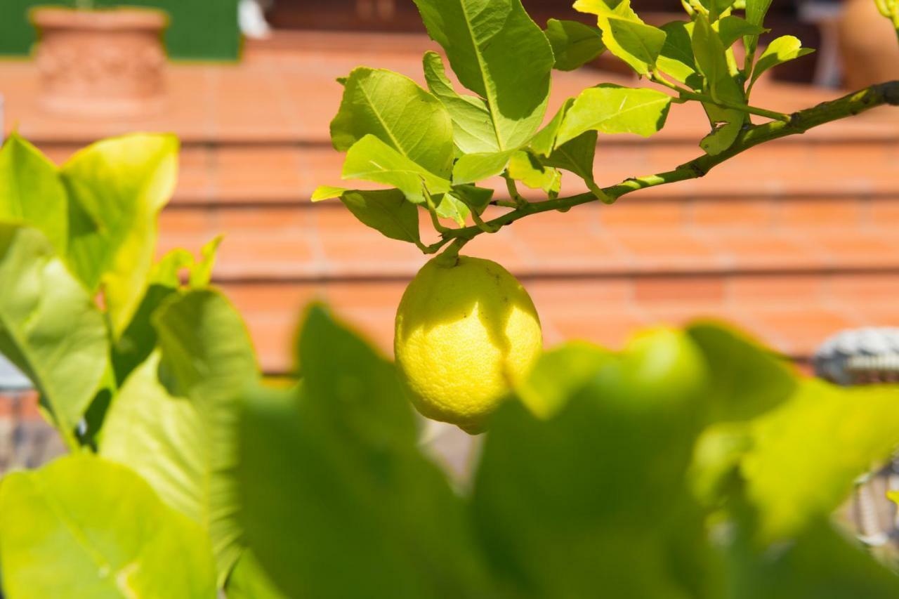 B&B Spring Perugia Zewnętrze zdjęcie